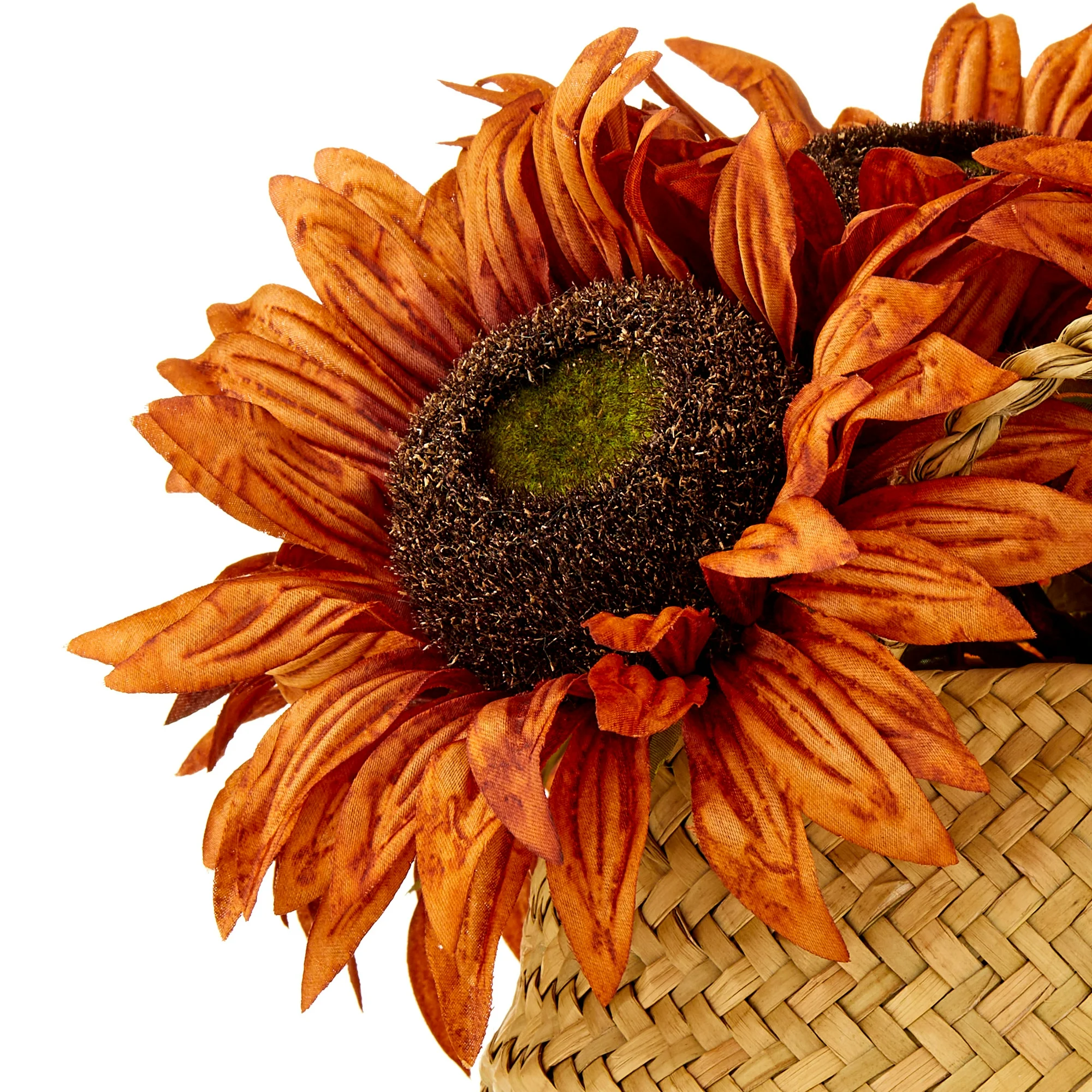 product image for 